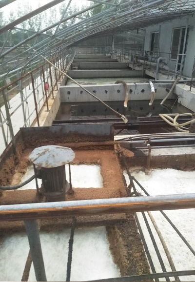 江蘇污水處理氣浮除渣系統